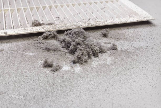 Best Local Air Duct Cleaning Services  in Groveland, ID