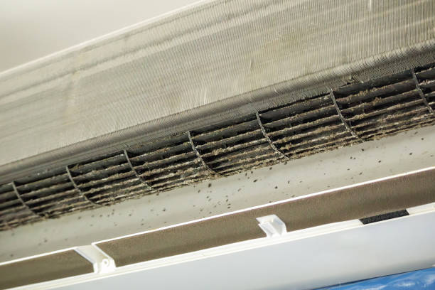 Best Professional Duct Cleaning Services  in Groveland, ID
